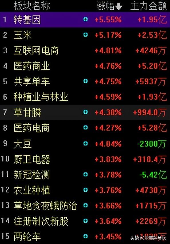 际华集团股票行情深度探索，小巷里的投资宝藏揭秘