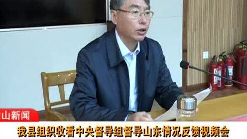 陈鲁山最新动态详解，初学者与进阶用户追踪指南